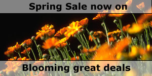 Spring Sale Motorcaravan Special Offers
