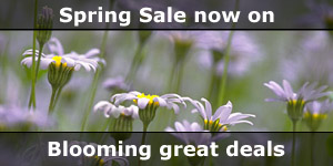 Spring Sale Camper Van Special Offers